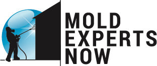 Mold inspection Miami – Mold Experts Now